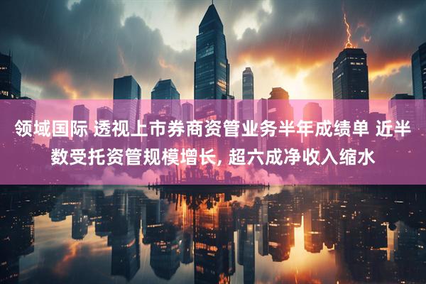 领域国际 透视上市券商资管业务半年成绩单 近半数受托资管规模增长, 超六成净收入缩水